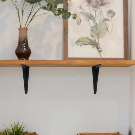 Stawki Cosy By Renters *